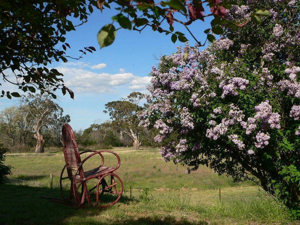 Redcliffe House Colonial Bed & Breakfast Swansea Bagian luar foto